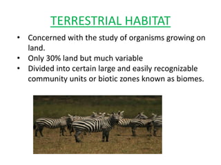 TERRESTRIAL HABITAT
• Concerned with the study of organisms growing on
land.
• Only 30% land but much variable
• Divided into certain large and easily recognizable
community units or biotic zones known as biomes.
 