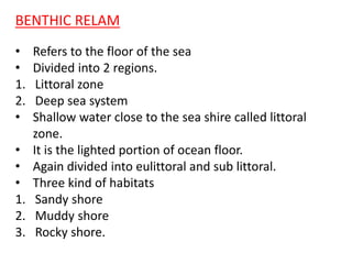 BENTHIC RELAM
• Refers to the floor of the sea
• Divided into 2 regions.
1. Littoral zone
2. Deep sea system
• Shallow water close to the sea shire called littoral
zone.
• It is the lighted portion of ocean floor.
• Again divided into eulittoral and sub littoral.
• Three kind of habitats
1. Sandy shore
2. Muddy shore
3. Rocky shore.
 