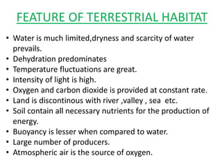 FEATURE OF TERRESTRIAL HABITAT
• Water is much limited,dryness and scarcity of water
prevails.
• Dehydration predominates
• Temperature fluctuations are great.
• Intensity of light is high.
• Oxygen and carbon dioxide is provided at constant rate.
• Land is discontinous with river ,valley , sea etc.
• Soil contain all necessary nutrients for the production of
energy.
• Buoyancy is lesser when compared to water.
• Large number of producers.
• Atmospheric air is the source of oxygen.
 