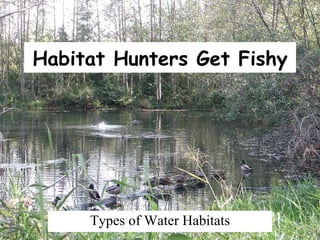 Habitat Hunters Get Fishy Types of Water Habitats 