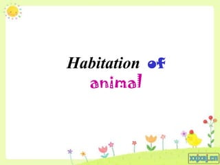 Habitation of
  animal
 