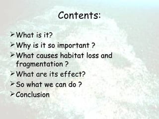 Habitat loss and fragmentation | PPT