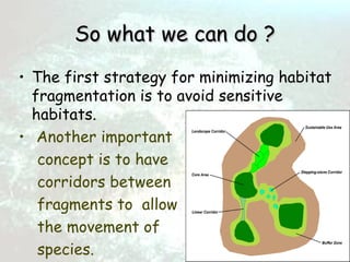 Habitat loss and fragmentation | PPT