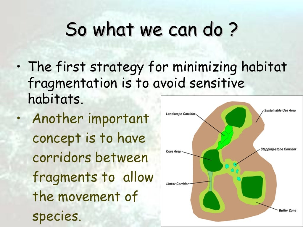 Habitat loss and fragmentation