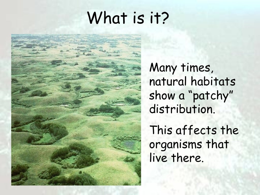Habitat loss and fragmentation