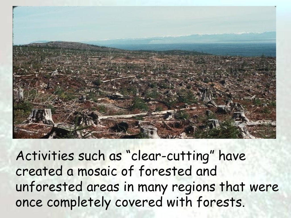 Habitat loss and fragmentation