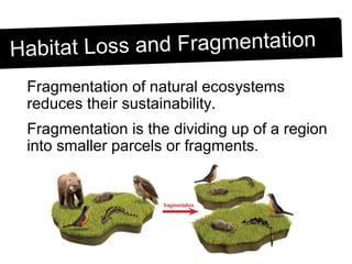 Grade9, L11-U3Habitat loss and fragmentation | PPT