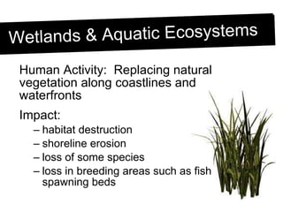 Habitat Loss and Fragmentation | PPT