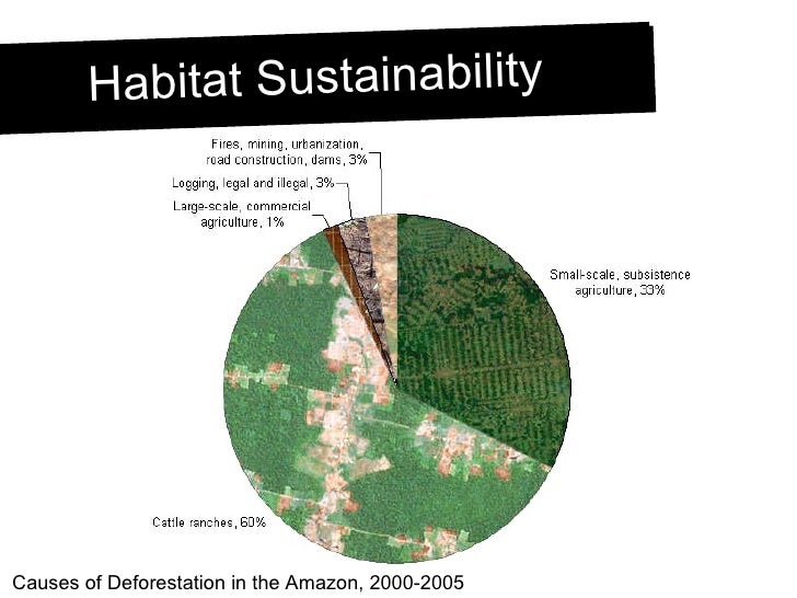 Habitat Loss and Fragmentation