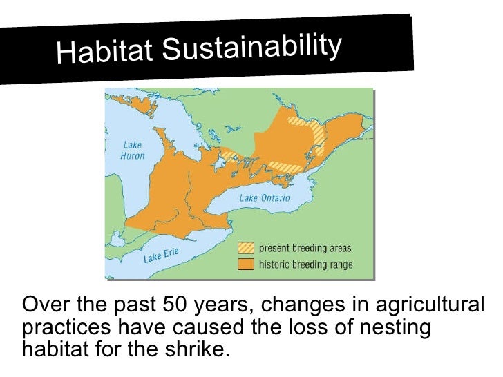 Habitat Loss and Fragmentation