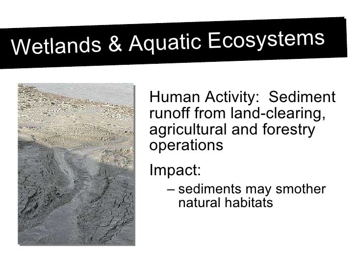 Habitat Loss and Fragmentation