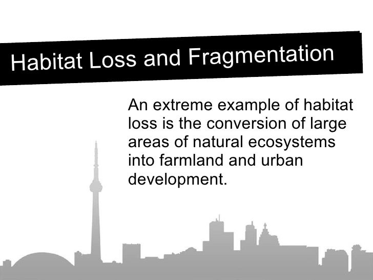 Habitat Loss and Fragmentation