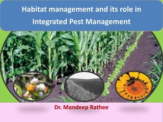 Habitat management and its role in
Integrated Pest Management
Dr. Mandeep Rathee
 