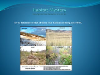 Try to determine which of these four habitats is being described.
 