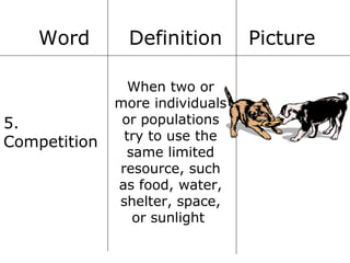 Word

5.
Competition

Definition
When two or
more individuals
or populations
try to use the
same limited
resource, such
as food, water,
shelter, space,
or sunlight

Picture

 