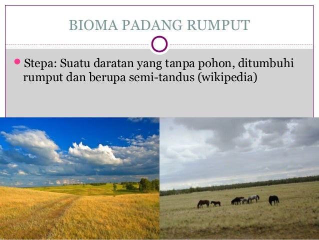 Habitat nisia dan tipe tipe ekosistem Habitat nisia dan tipe tipe ekosistem