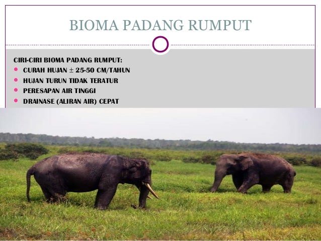 Habitat nisia dan tipe tipe ekosistem