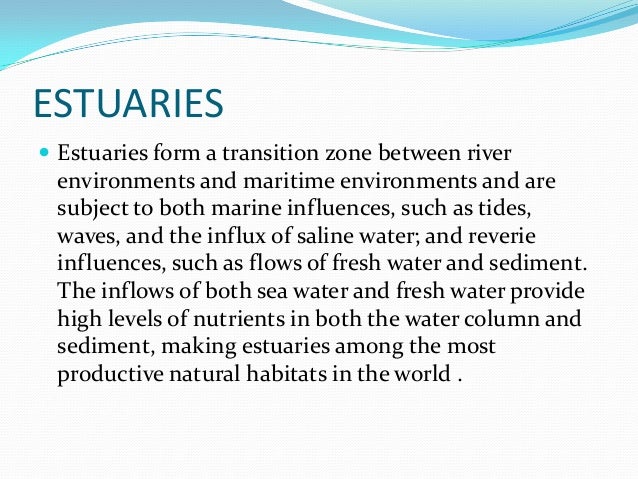 habitat of the living how do estuaries form