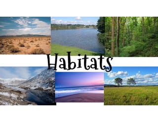 Habitats
 