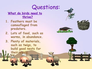 Questions:
What do birds need to
thrive?
1. Feathers must be
camouflaged from
predators.
2. Lots of food, such as
worms, in abundance.
3. Plenty of materials,
such as twigs, to
build good nests for
their young.