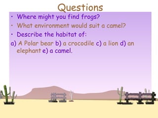 Questions
• Where might you find frogs?
• What environment would suit a camel?
• Describe the habitat of:
a) A Polar bear b) a crocodile c) a lion d) an
elephant e) a camel.