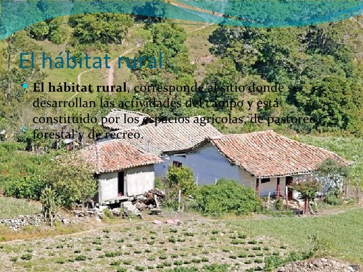 Habitat rural