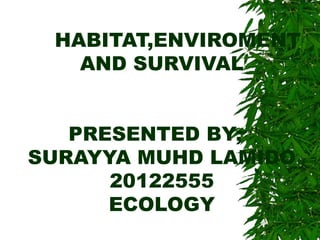 HABITAT,ENVIROMENT
AND SURVIVAL
PRESENTED BY;
SURAYYA MUHD LAMIDO
20122555
ECOLOGY

 