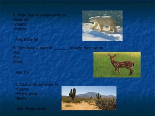 4. Polar bear are kept warm by Body fat Vitamin Protein Ans. Body fat 5. Deer have a layer of _______ to keep them warm. Fat Fur Coat  Ans. Fur 6. Cactus stores water in Leaves Fleshy stem Roots Ans. Fleshy stem 
