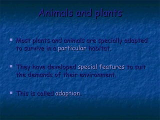 Animals and plants Most plants and animals are specially adapted to survive in a  particular  habitat. They have developed  special features  to suit the demands of their environment. This is called  adaption . 