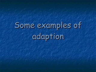 Some examples of adaption 