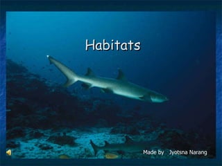 Habitats Made by  Jyotsna Narang 