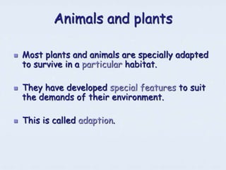 Animals and plants

   Most plants and animals are specially adapted
    to survive in a particular habitat.

   They have developed special features to suit
    the demands of their environment.

   This is called adaption.
 