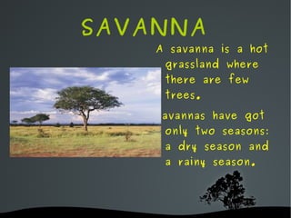 Arctic and Antarctic Arctic and Antarctic are very cold places where snow is on the ground most of the year.