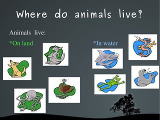 Where do animals live? Animals live: *On land *In water