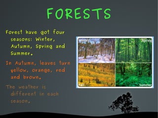 Artic and Antarctic.