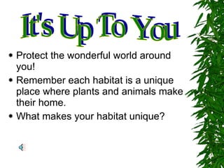 Protect the wonderful world around you! Remember each habitat is a unique place where plants and animals make their home. What makes your habitat unique? It's Up To You 