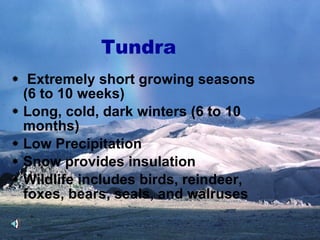 Tundra Extremely short growing seasons (6 to 10 weeks) Long, cold, dark winters (6 to 10 months) Low Precipitation Snow provides insulation Wildlife includes birds, reindeer, foxes, bears, seals, and walruses 