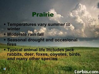 Prairie Temperatures vary summer to winter Moderate rain fall Seasonal drought and occasional fires Typical animal life includes jack rabbits, deer, foxes, coyotes, birds, and many other species 