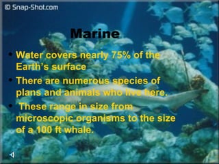 Marine
 Water covers nearly 75% of the
  Earth’s surface
 There are numerous species of

  plans and animals who live here.
 These range in size from

  microscopic organisms to the size
  of a 100 ft whale.
 