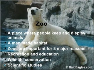 Zoo
 A place where people keep and display
  animals
 A man made habitat

 Zoos are important for 3 major reasons

 Recreation and education

 Wild life conservation

 Scientific studies
 