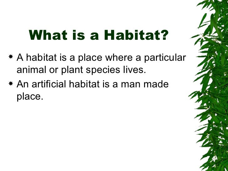 Habitats
