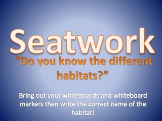 Habitats for kids!