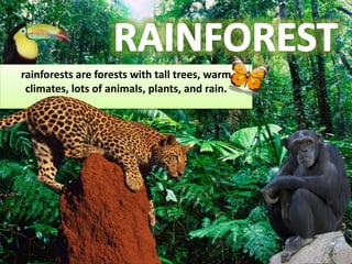 rainforests are forests with tall trees, warm
climates, lots of animals, plants, and rain.
 