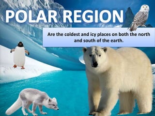 Are the coldest and icy places on both the north
and south of the earth.
 