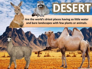 Are the world's driest places having so little water
and bare landscapes with few plants or animals.
 