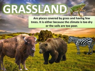 Are places covered by grass and having few
trees. It is either because the climate is too dry
or the soils are too poor.
 