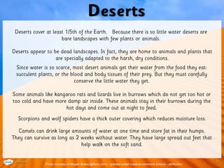 Photo courtesy of Moyan Brenn(@flickr.com) - granted under creative commons licence - attribution
 