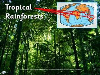 Photo courtesy of tauntingpanda(@flickr.com) - granted under creative commons licence - attribution
 