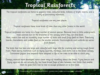 Photo courtesy of tauntingpanda(@flickr.com) - granted under creative commons licence - attribution
 