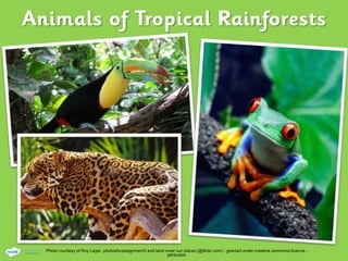 Photo courtesy of Roy Layer, photosforassignment3 and land rover our planet (@flickr.com) - granted under creative commons licence -
attribution
 